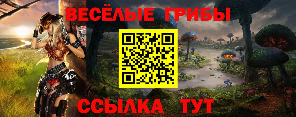 Галлюциногенные грибы прущие грибы  Вход с VPN  Учалы 