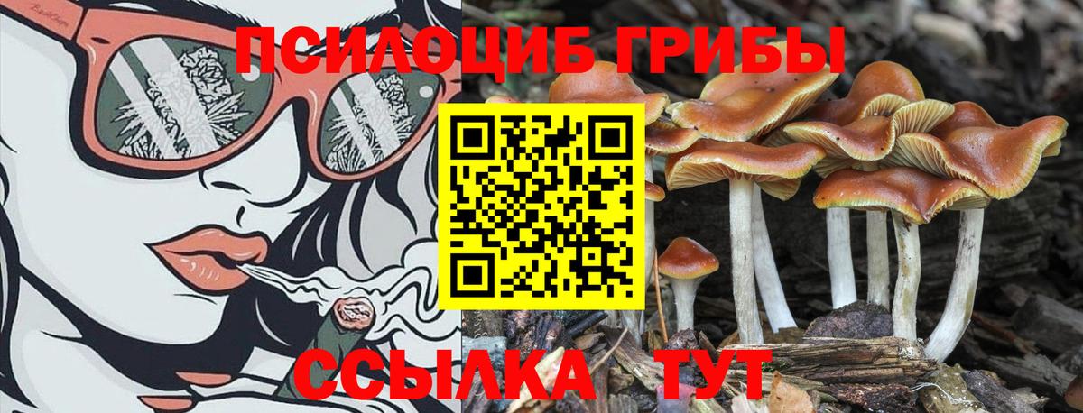 Галлюциногенные грибы MAGIC MUSHROOMS Учалы